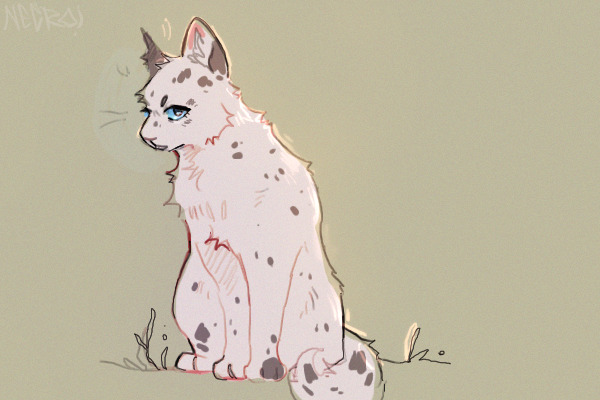 warrior cat in 2021???