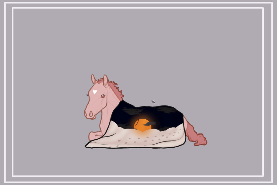 Foal Blanket