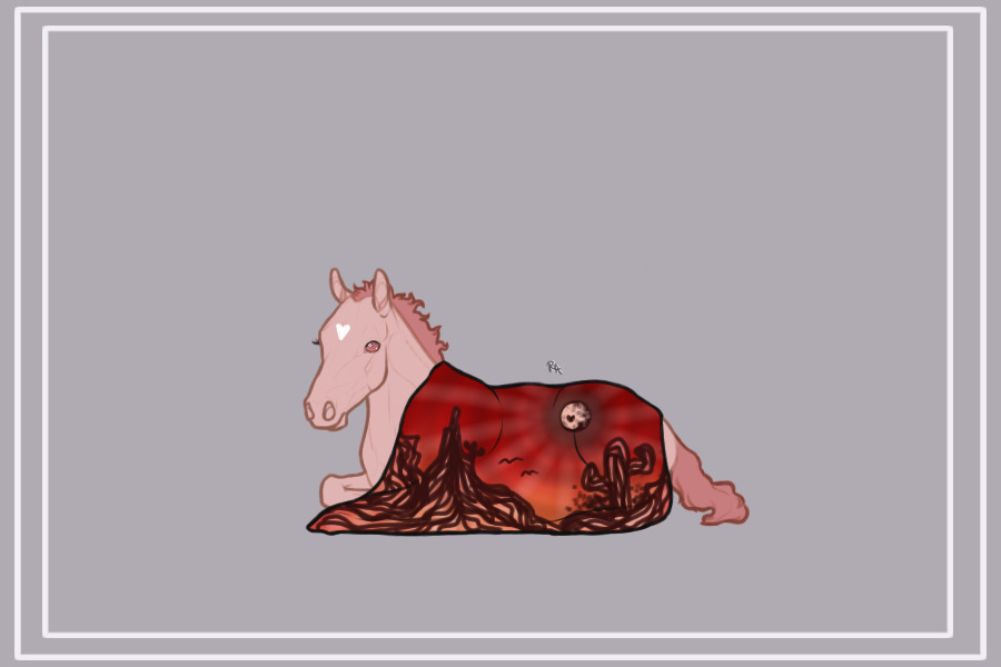 Foal Blanket!