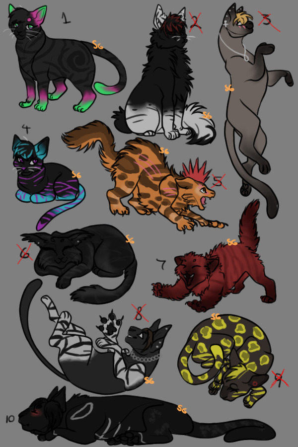 Alternative Cat Adopts WITH SPECIAL CAT (OPEN) 4/10