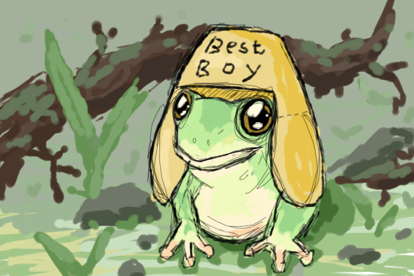Best frog boy