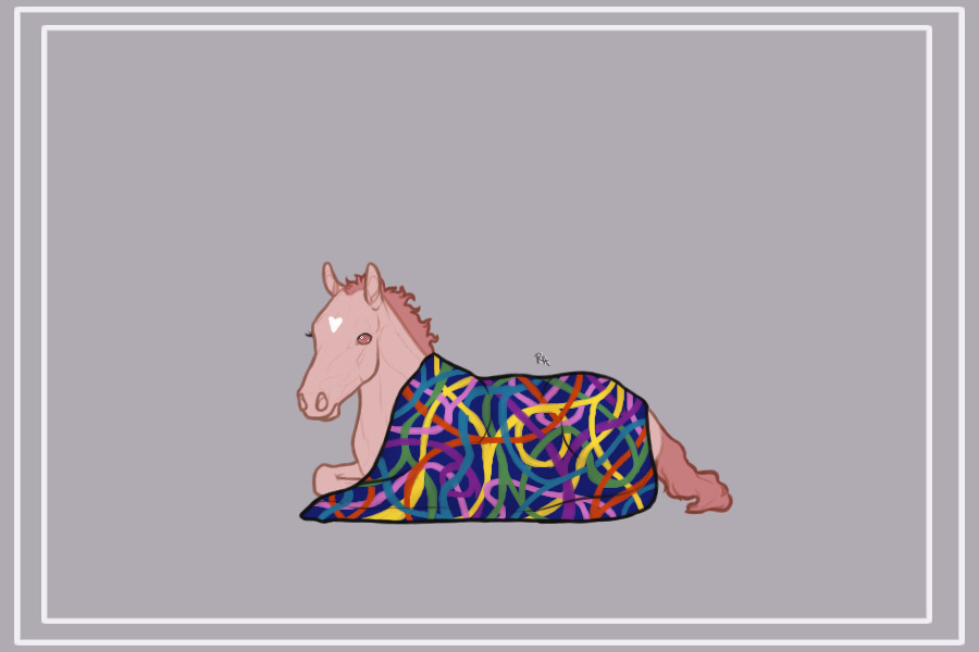 Bashkir Curly Foal - Blanket Color-in Event