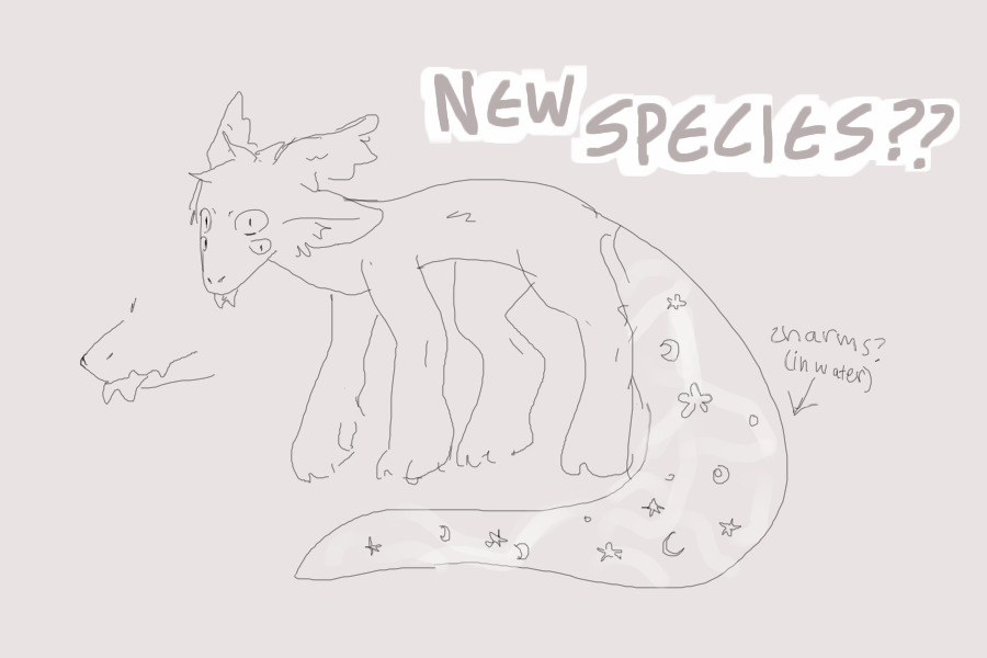new species interest