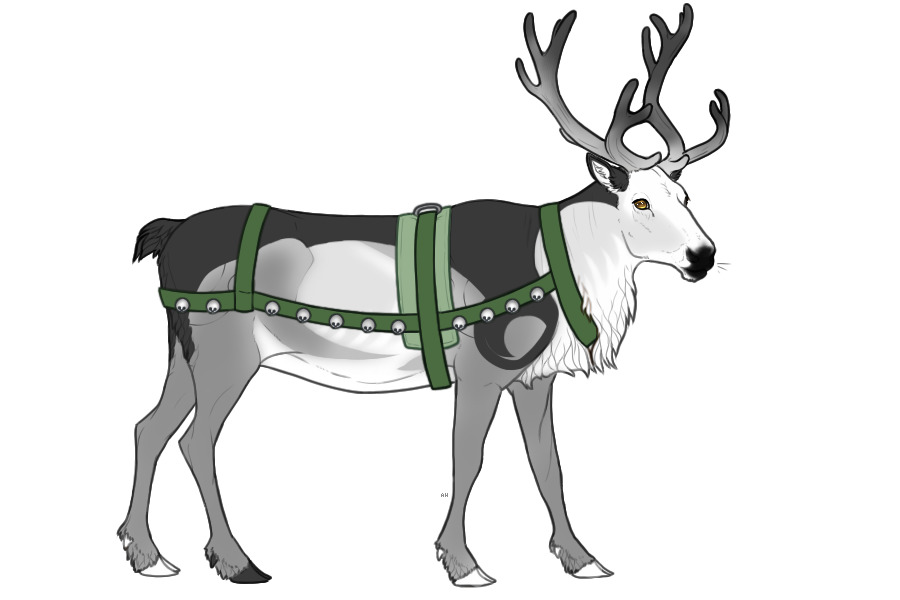 Baltic Reindeer #62 - FCFS