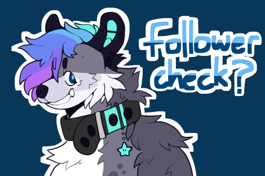 follower check!!