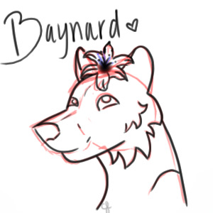 Baynard - for discontinued