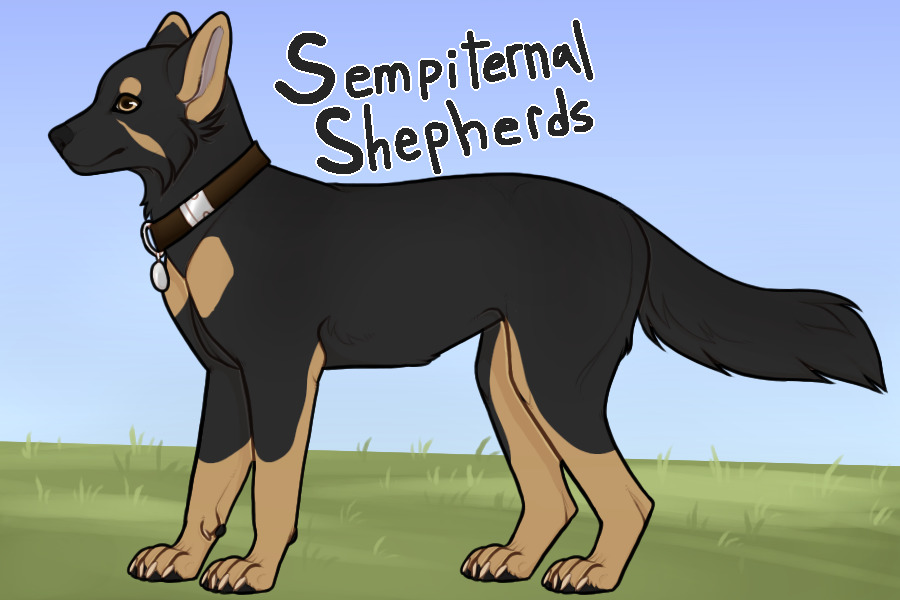 Sempiternal Shepherds