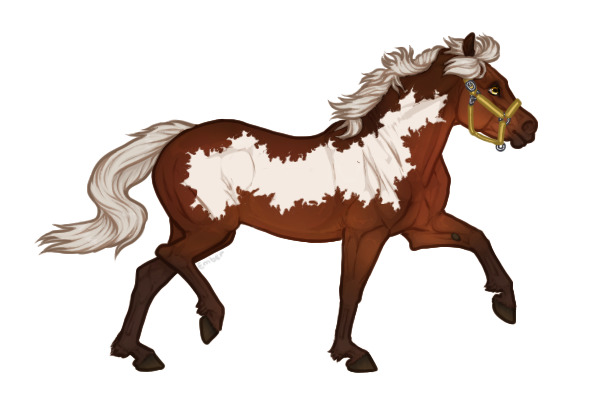 Ferox Welsh Pony #767