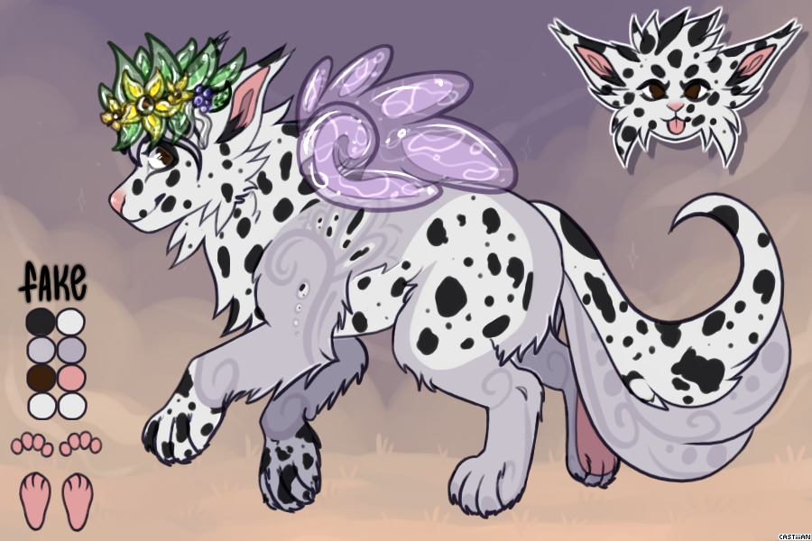 Starry's Entry #2 - Silver Lab Long-haired Dalmation