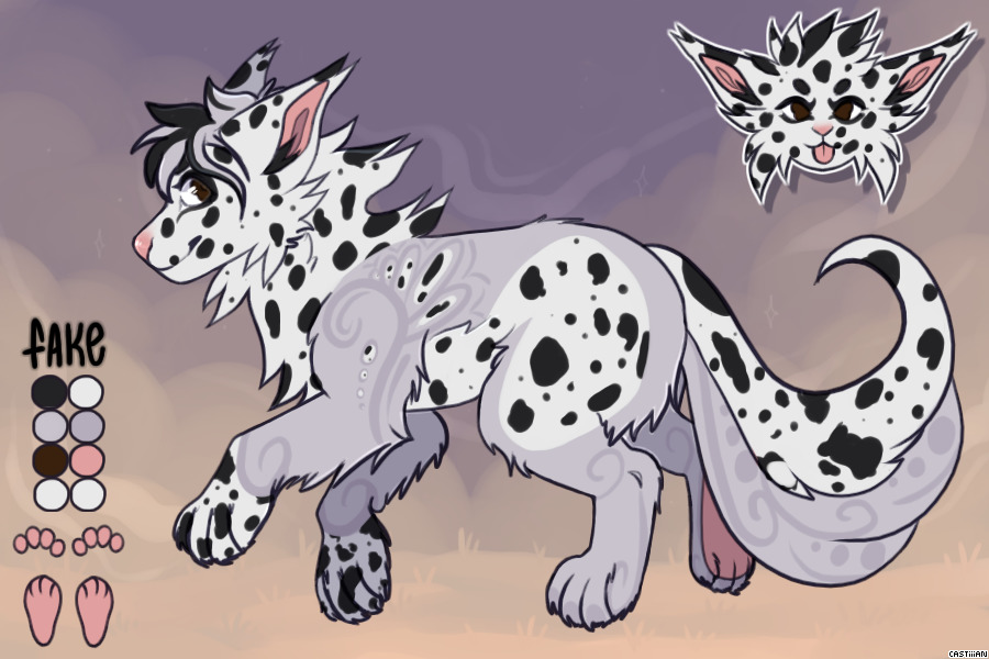 Starry's Entry #2 - Silver Lab Long-haired Dalmation W/O Goo