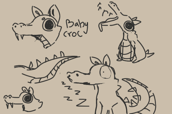 more croc stuff
