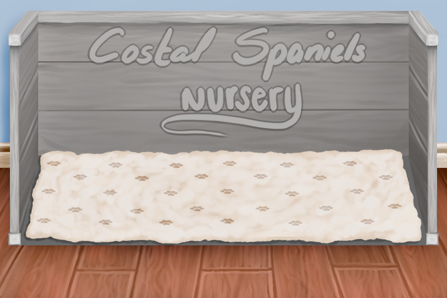 Costal Spaniels |  Nursery