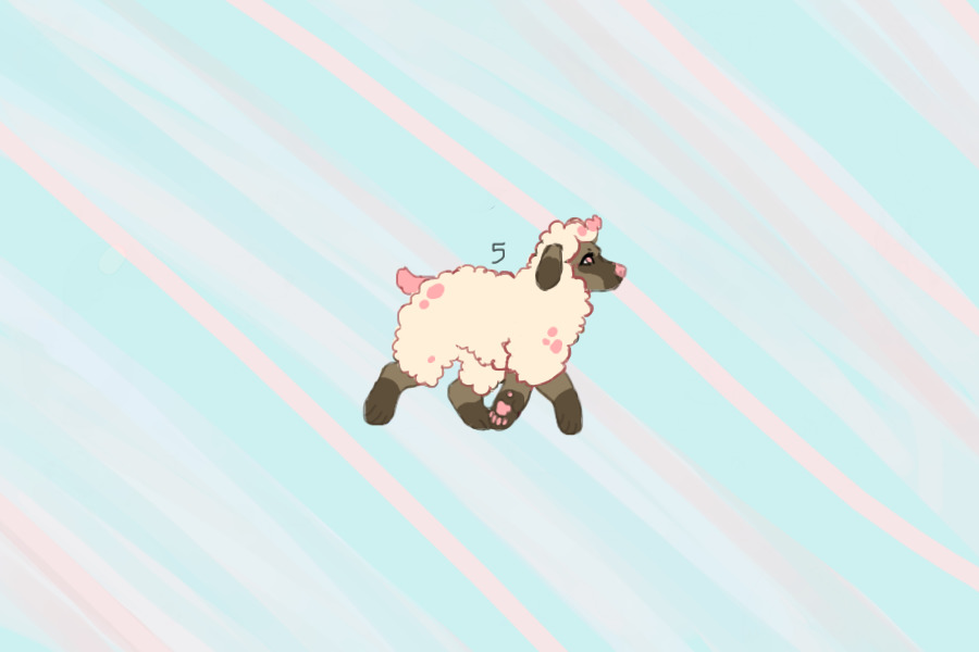 mallow the sheep