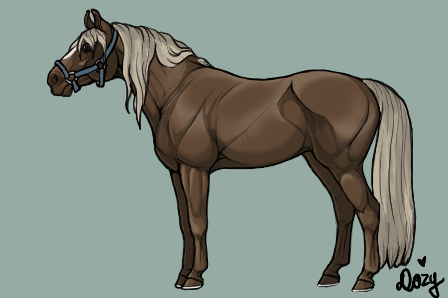 Horse Adopt ref image [ADOPTED]