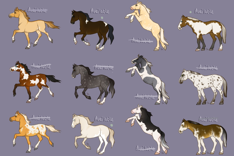 "Nothin fancy" pony design sale