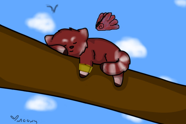 Panda de Rojo