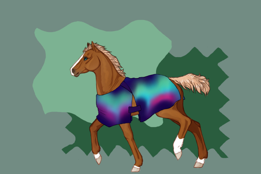 Little "Aurora" Foal Blanket<3