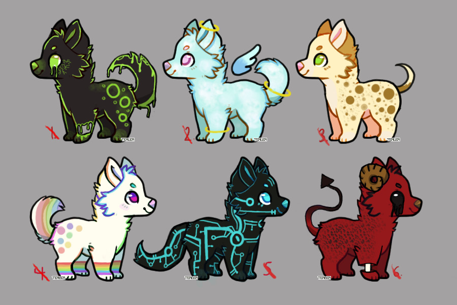 Small dog adopts! Closed