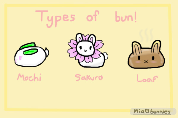 Types Of Bun