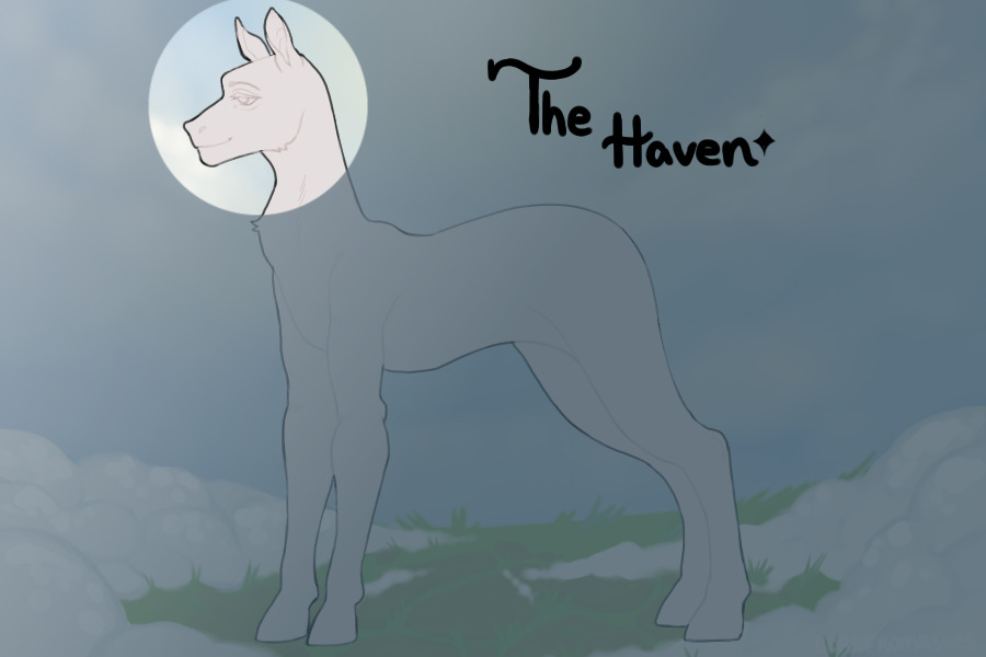 ✧THE HAVEN; Citizen Creation✧