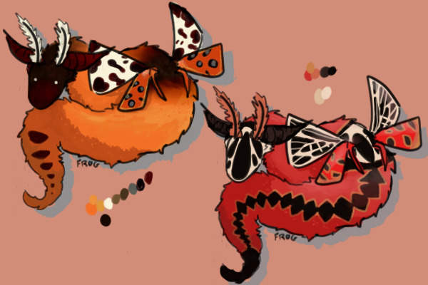 Moth Snake Adopts