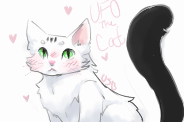 Its him; my boy