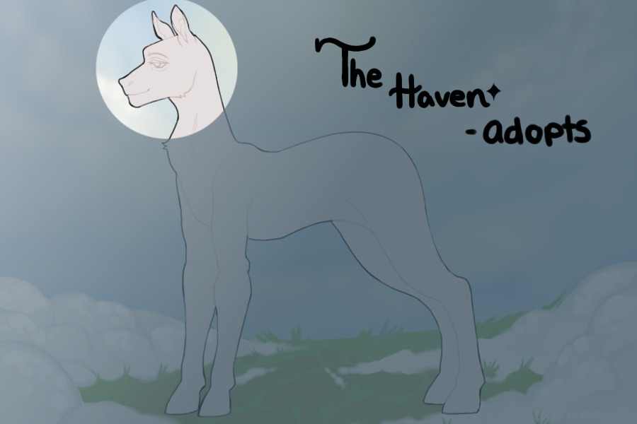✧THE HAVEN; adoptables✧