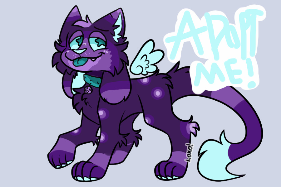 Kittydog Adoptable UFA! 5