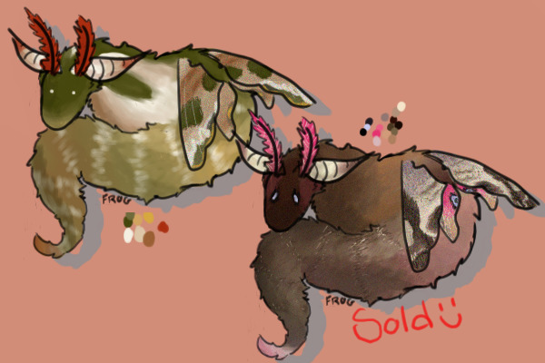 Moth Adopt