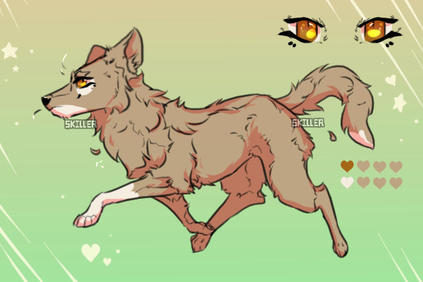 doggo adopt