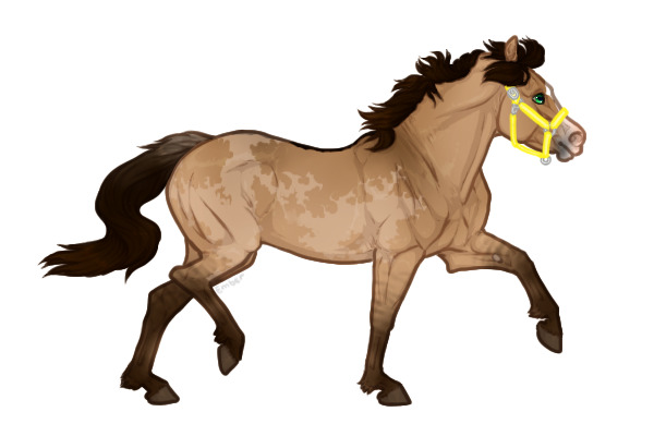 Ferox Welsh Pony #771