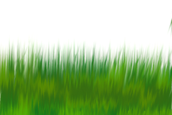 landscape practice--grass