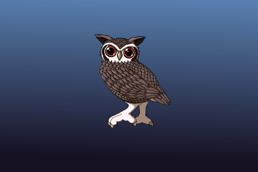 Owl Editable