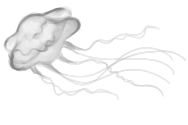 Base layers jellyfish from yesterday