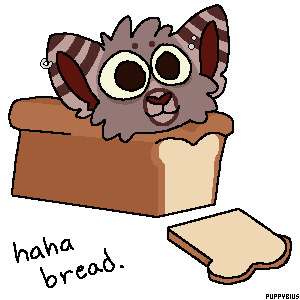 imagine not being bread