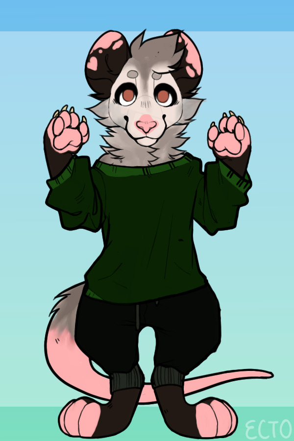Opossum Boi