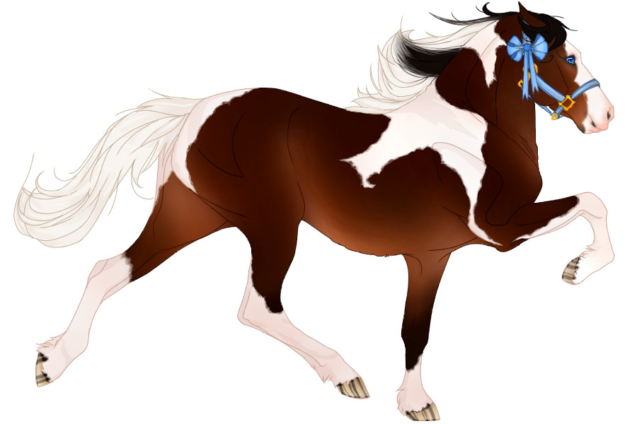 TITA #E033 - Seal brown tobiano w/ ermine spots