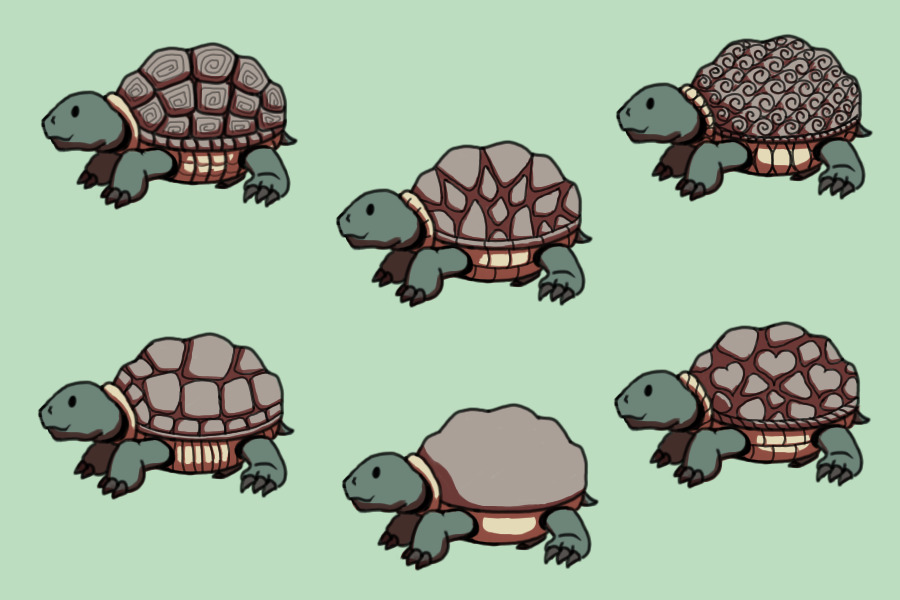 Tortoise Editable