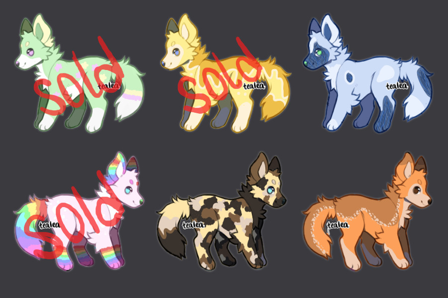 canine adopts 3/6 left