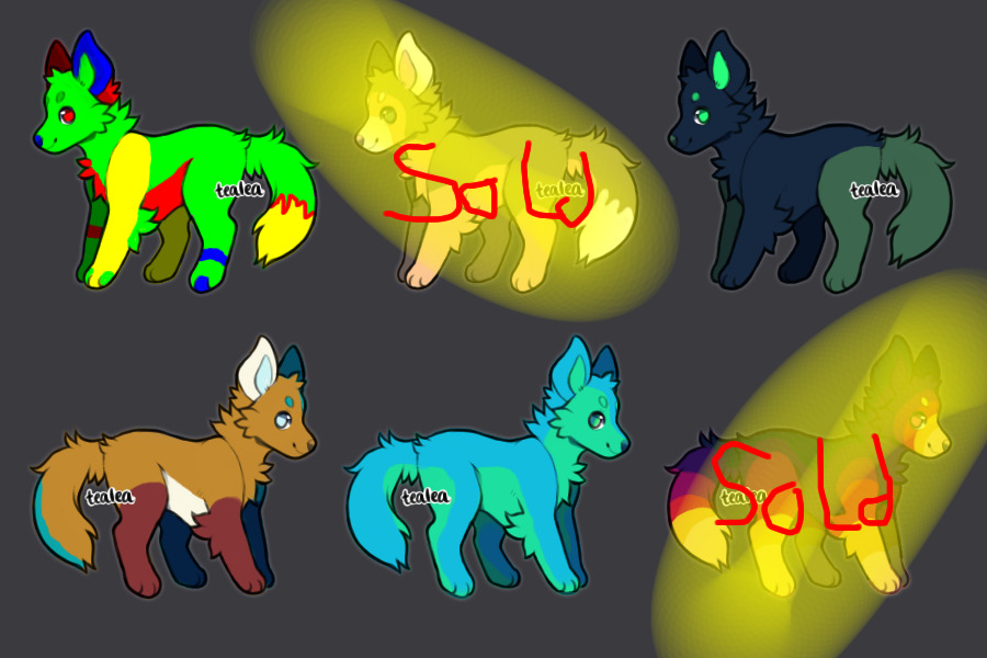 6 canine adoptables 4/6 open