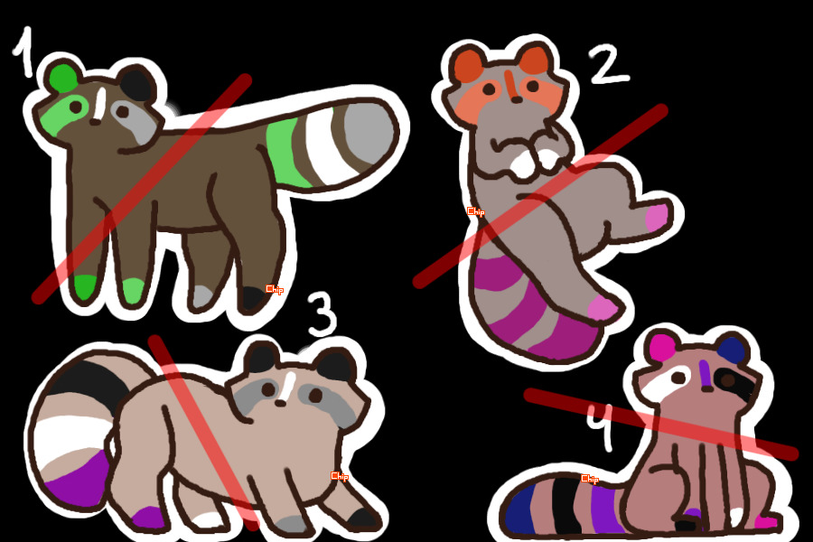 even MORE gay raccoon adopts