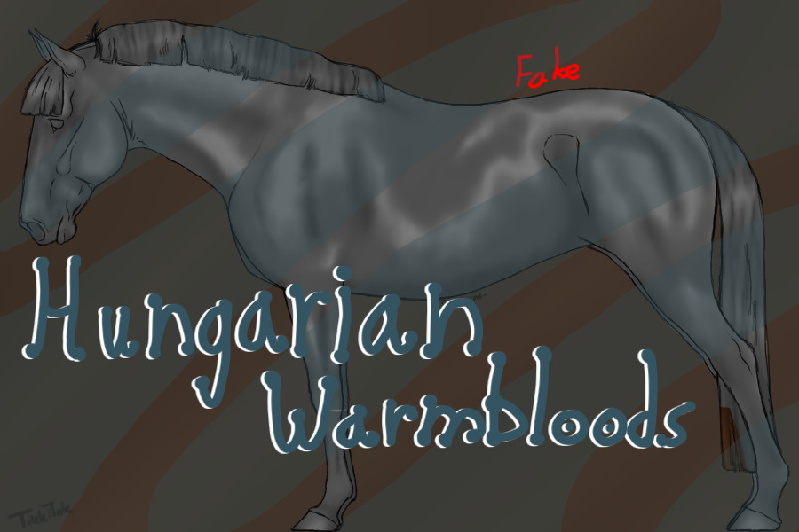 Hungarian Warmbloods V.3 - Artist Search