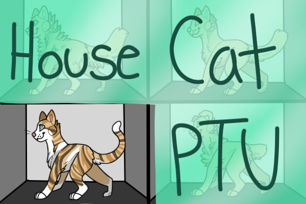 Bean's PTU Lines: House Cats