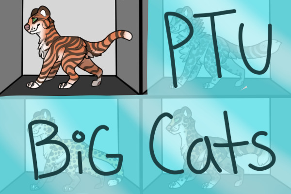 Bean's PTU Lines: Big Cats