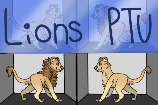 Bean's PTU Lines: Lions