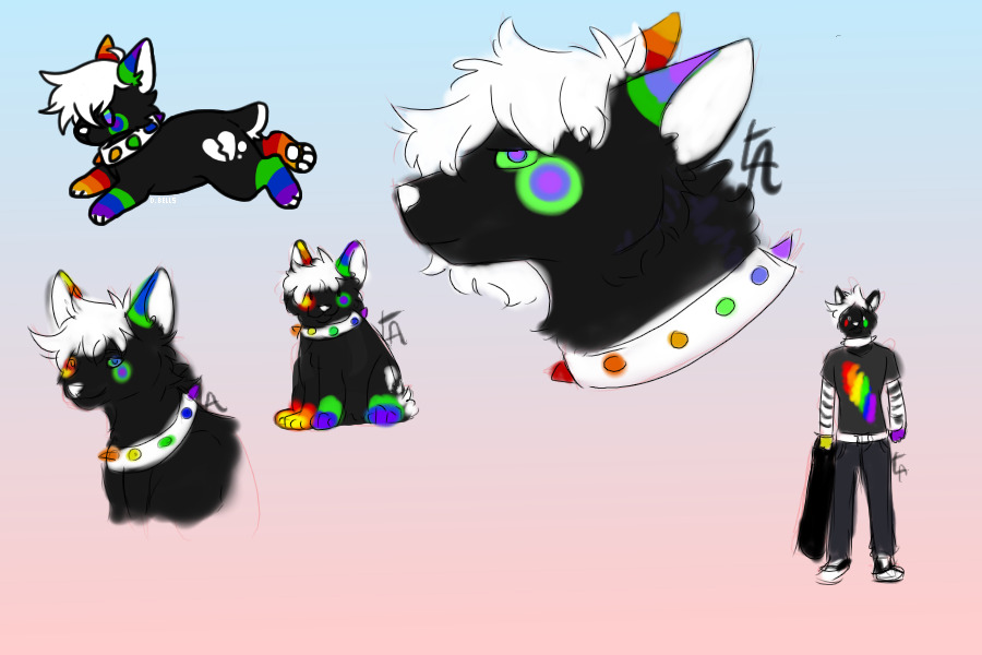 rainbow lad