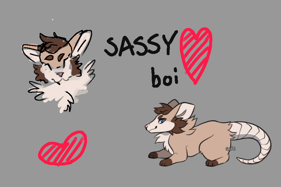 Sassy Possum Man