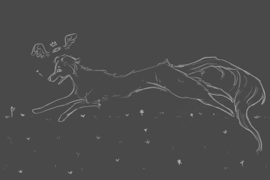 free sketch - shelby