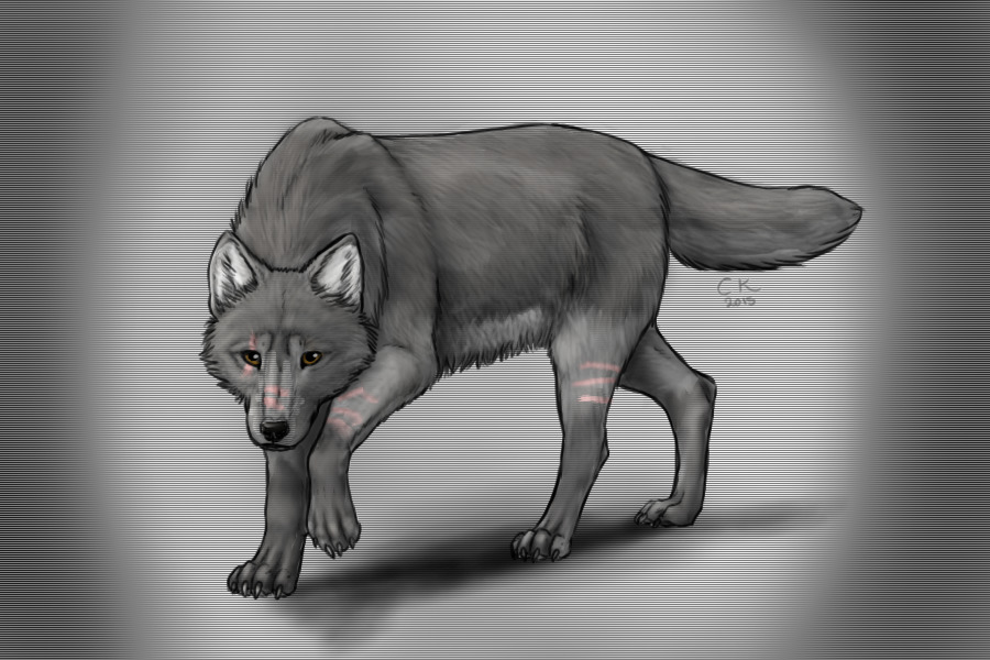 Cobalt The Wolf