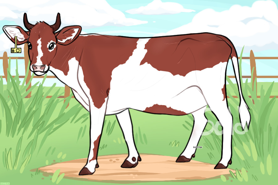 Cow Adoptable (Claimed!)